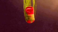 لاروا (فصل 1 - قسمت 20)